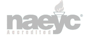 Naeyc-Logo-grey@2x